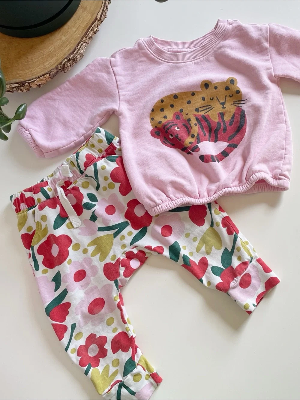 Hanna Andersson Two Piece Set | Tiger Sweatshirt & Floral Pants | 18-24m